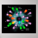 Buscar energía nuclear posters Núcleo