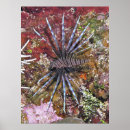 Buscar lionfish arte Naturaleza