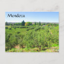 Buscar mendoza postales Vino