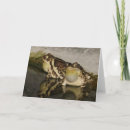 Buscar sapos tarjetas Naturaleza