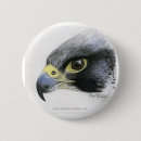 Buscar peregrino chapas Pájaro