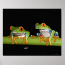 Buscar ojos verdes posters Animales