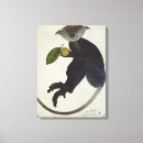 Buscar zoología lienzos Especie