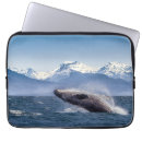 Buscar ballena jorobada fundas Océano