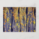 Buscar textura de madera postales Naturaleza