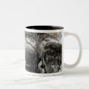 Buscar sun tazas Tribal