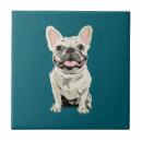 Buscar bulldog azulejos Frenchie