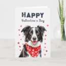 Buscar border collie tarjetas Para todos