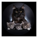 Buscar gato gótico posters Amante del gato