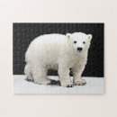 Buscar oso polar puzzles 6 º pesadilla