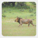 Buscar panthera pegatinas Al aire libre