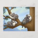 Buscar koala postales Humor