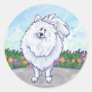 Buscar pomerania pegatinas Elemento emergente