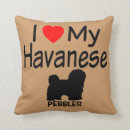 Buscar la habana cojines Havanés