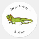 Buscar iguana pegatinas Verde