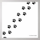 Buscar patas del perro posters Animal