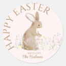 Buscar brun postales Conejo