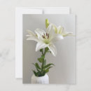 Buscar lirios de pascua blancos postales Floral