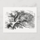 Buscar gato cheshire postales John tenniel