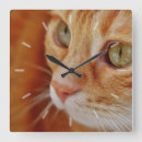 Buscar cara del gato relojes de pared General y unisex