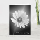 Buscar luces blancas tarjetas General y unisex
