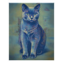 Buscar gato azul ruso posters Lindo