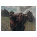 Buscar vacas tablas cortar Vaca de montaña