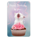 Buscar canto imanes Gatito