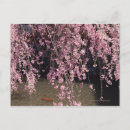 Buscar kyoto postales Cultura japonesa