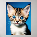 Buscar gatito adorable posters Amante de los animales