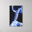 Buscar cuello humano posters Visión