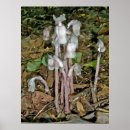 Buscar cadáver arte Bosque
