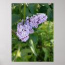 Buscar armario posters Verde