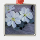 Buscar berenjena adornos Flor