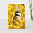 Buscar chickadee tarjetas Floral