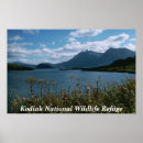 Buscar kodiak arte Vida silvestre