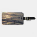 Buscar el calmar accesorios Abstracto