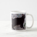 Buscar bobtail tazas Gato