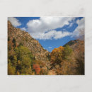 Buscar hojas grandes postales Hojas de otoño