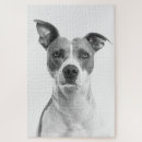 Buscar perro blanco negro puzzles Lindo