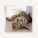 Buscar pet cuadernos Kitten