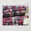 Buscar gema postales General y unisex