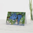 Buscar uvas tarjetas General y unisex