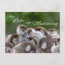 Buscar muttertag tarjetas Murmurar