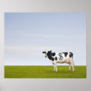 Buscar productos lácteos posters Escena rural