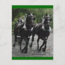 Buscar borrador postales Caballo de tiro