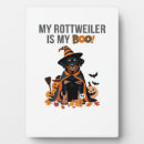 Buscar rottweiler placas fotograbadas Perros
