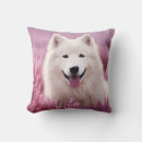 Buscar sammy cojines Cachorro