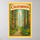 Buscar bosque posters Aventura