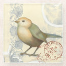 Buscar pequeño pájaro posavasos Animal